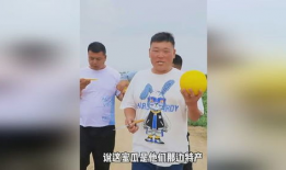 今日吃瓜热门大瓜大本营,大瓜大本营独家揭秘